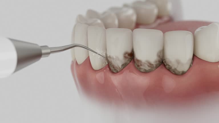 Reliable Dental contractor in Wrangell City and Borough County, AK by Dentist Open Now